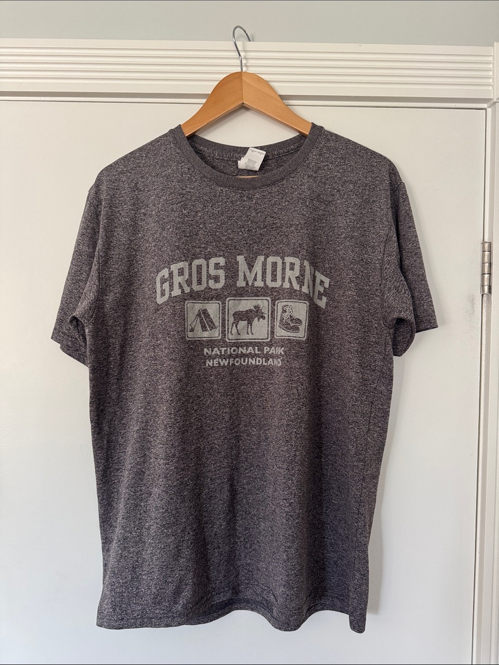 Gildan Heather Gray Gros Morne National Park Tee